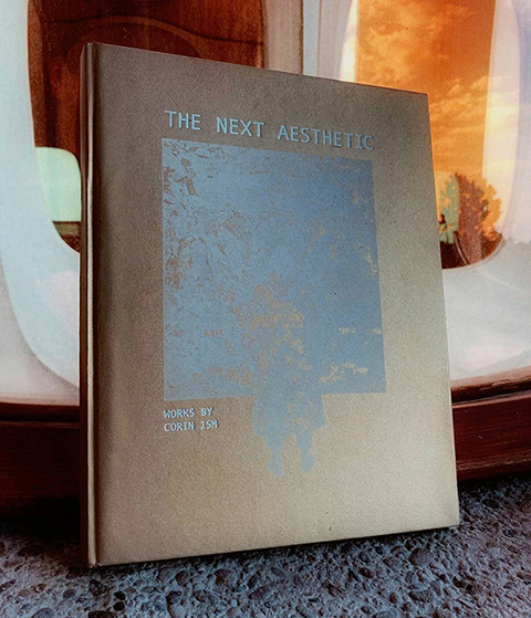 The Next Aesthetic book image