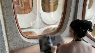 Second video of person reading The Next Aesthetic